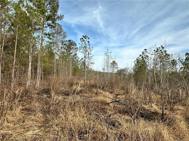 00 Satcher Rd, Taylorsville GA, 30178 land for sale