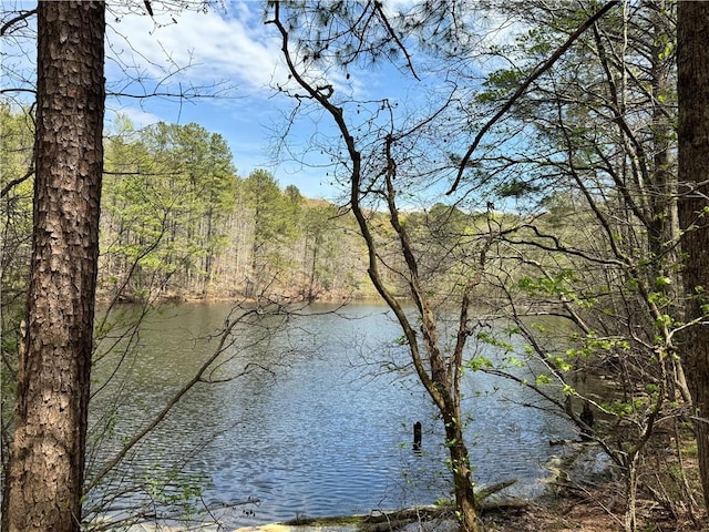 3 Meadowlands, Talking Rock, GA 30175