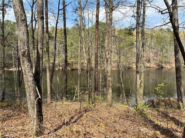 3 Meadowlands, Talking Rock, GA 30175