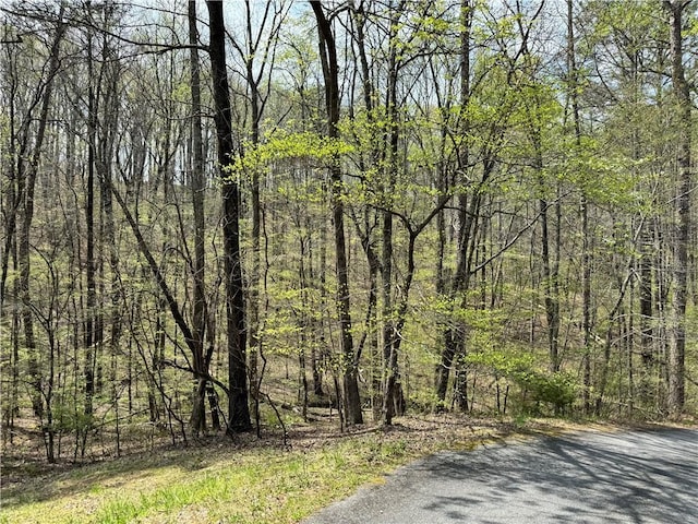 3 Meadowlands, Talking Rock, GA 30175