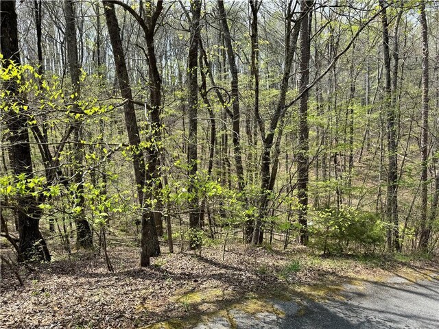3 Meadowlands, Talking Rock, GA 30175
