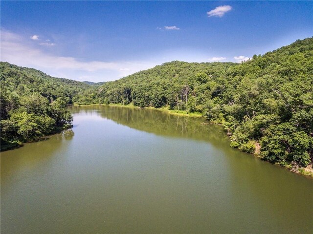 3 Meadowlands, Talking Rock, GA 30175