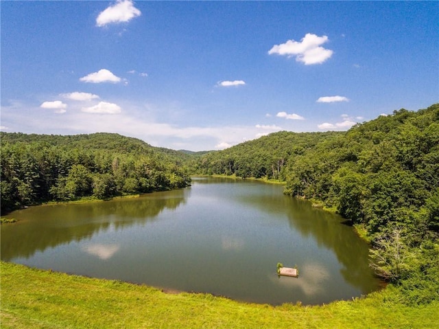 3 Meadowlands, Talking Rock, GA 30175