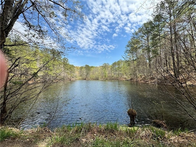3 Meadowlands, Talking Rock, GA 30175