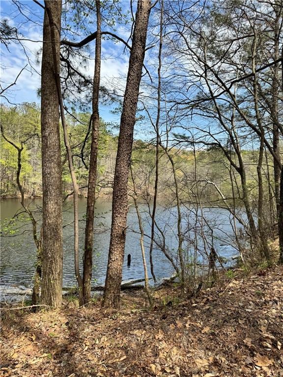 3 Meadowlands, Talking Rock, GA 30175