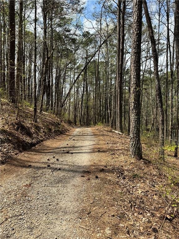 3 Meadowlands, Talking Rock, GA 30175