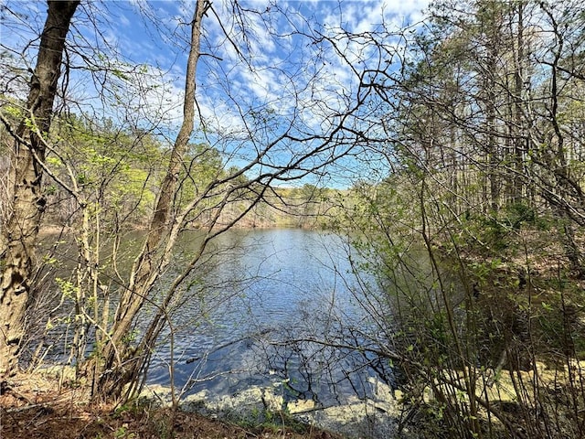 3 Meadowlands, Talking Rock, GA 30175