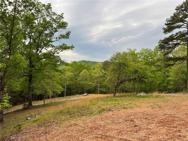 788 Beavers Dr, Morganton GA, 30560 land for sale