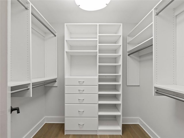 walk in closet featuring dark wood-style floors