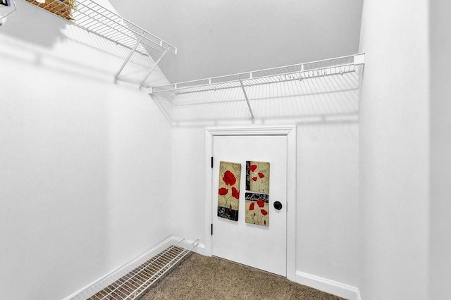 walk in closet featuring carpet