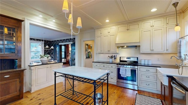 kitchen with custom exhaust hood, appliances with stainless steel finishes, light wood-type flooring, and decorative light fixtures