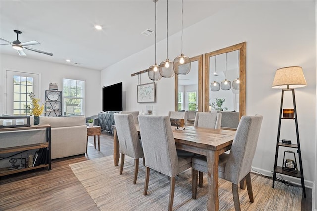 507 Bishop Ln, Woodstock, GA 30188 - dining room featuring healthy amount of natural light, wood finished floors, a ceiling fan, and recessed lighting