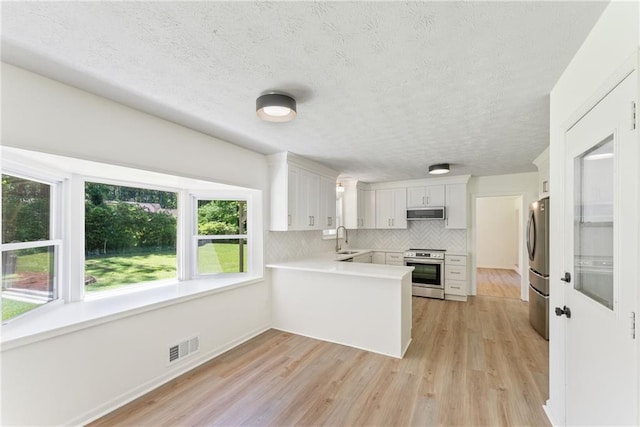 145 Devilla Trce, Fayetteville, GA 30214 - kitchen featuring stainless steel appliances, a sink, a peninsula, a textured ceiling, and light wood-type flooring