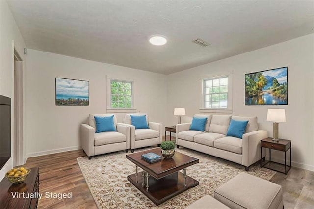 53 Knight Dr, Cedartown, GA 30125 - living room with plenty of natural light and wood finished floors
