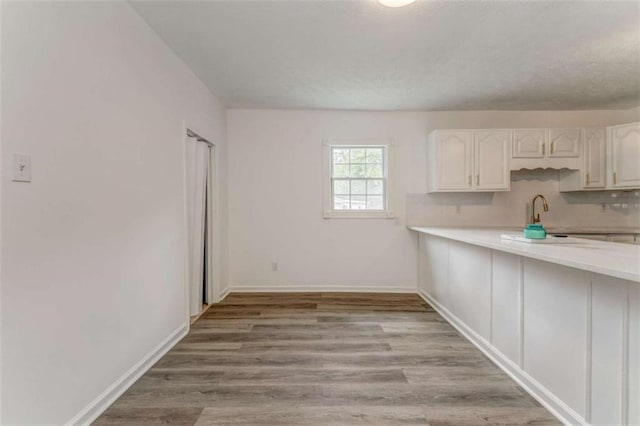 53 Knight Dr, Cedartown, GA 30125 - kitchen with light countertops, white cabinetry, light wood finished floors, and tasteful backsplash