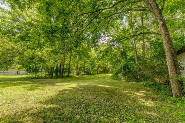 53 Knight Dr, Cedartown, GA 30125 - view of yard
