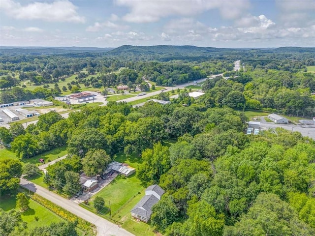 53 Knight Dr, Cedartown, GA 30125 - aerial overview of property's location featuring a heavily wooded area