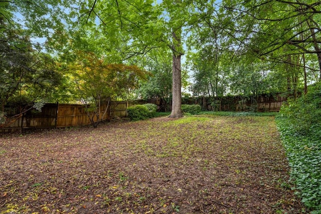 1038 Saint Charles Ave, Atlanta, GA 30306 - view of fenced backyard