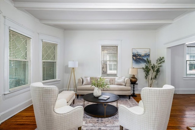 1038 Saint Charles Ave, Atlanta, GA 30306 - living area featuring beamed ceiling, dark wood-type flooring, baseboards, and ornamental molding
