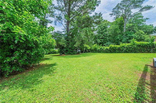 4732 Manly Ct, Stone Mountain, GA 30088 - view of grassy yard
