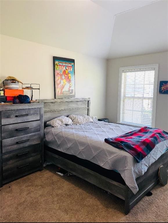 305 Anise Ct, Mcdonough, GA 30252 - carpeted bedroom with lofted ceiling