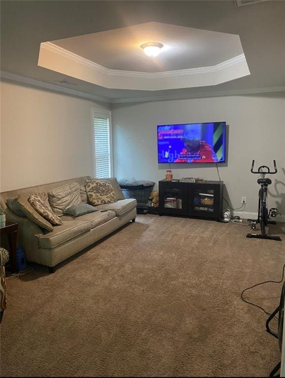 305 Anise Ct, Mcdonough, GA 30252 - carpeted living area with a tray ceiling and ornamental molding