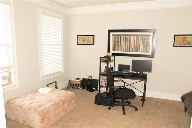 305 Anise Ct, Mcdonough, GA 30252 - carpeted home office featuring ornamental molding and baseboards