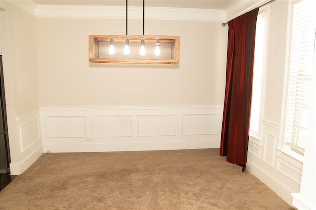 305 Anise Ct, Mcdonough, GA 30252 - empty room featuring carpet flooring, crown molding, healthy amount of natural light, a decorative wall, and a wainscoted wall
