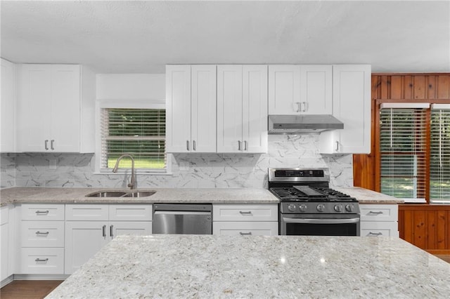 kitchen with light stone counters, backsplash, appliances with stainless steel finishes, a sink, and under cabinet range hood