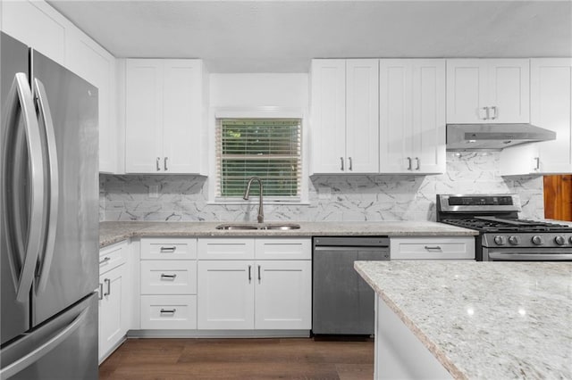 kitchen with dark wood-style floors, stainless steel appliances, tasteful backsplash, a sink, and under cabinet range hood