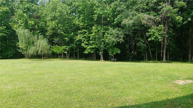 2477 Briar Valley Way, Dacula, GA 30019 - view of yard