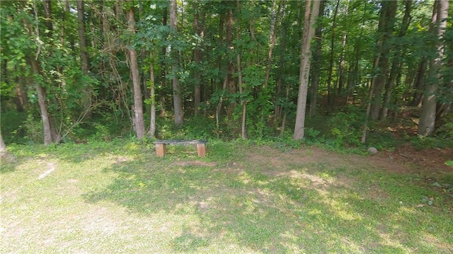 2477 Briar Valley Way, Dacula, GA 30019 - view of yard featuring a wooded view