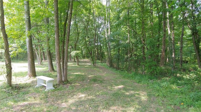 2477 Briar Valley Way, Dacula, GA 30019 - view of yard featuring a wooded view