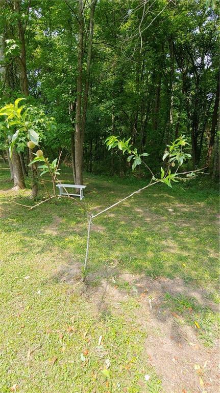2477 Briar Valley Way, Dacula, GA 30019 - view of yard