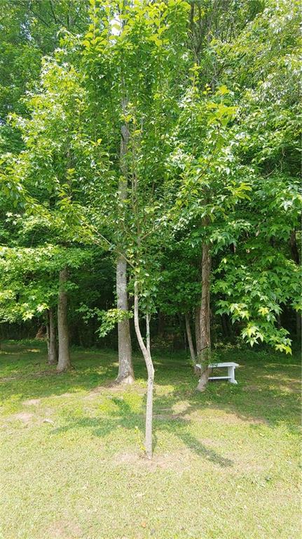 2477 Briar Valley Way, Dacula, GA 30019 - view of yard
