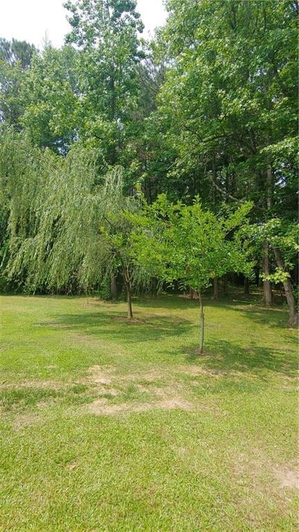 2477 Briar Valley Way, Dacula, GA 30019 - view of yard
