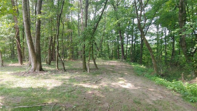 2477 Briar Valley Way, Dacula, GA 30019 - view of nature with a wooded view