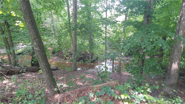 2477 Briar Valley Way, Dacula, GA 30019 - view of local wilderness