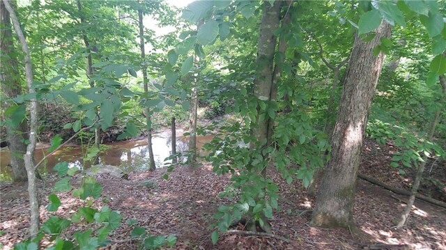 2477 Briar Valley Way, Dacula, GA 30019 - view of local wilderness