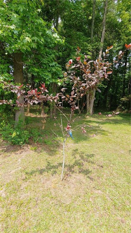 2477 Briar Valley Way, Dacula, GA 30019 - view of yard