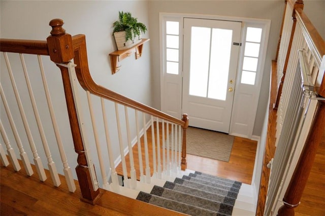 entryway with hardwood / wood-style flooring and a healthy amount of sunlight