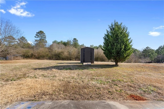 view of yard featuring a shed