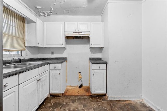 kitchen featuring ornamental molding, sink, and white cabinets