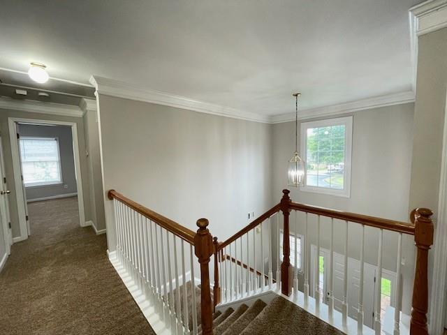 690 Kimball Parc Way, Alpharetta, GA 30022 - staircase featuring healthy amount of natural light, carpet, crown molding, and baseboards