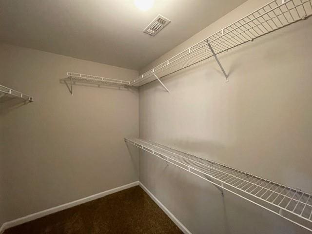 690 Kimball Parc Way, Alpharetta, GA 30022 - spacious closet featuring carpet floors