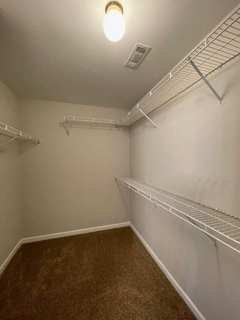 690 Kimball Parc Way, Alpharetta, GA 30022 - spacious closet with carpet flooring