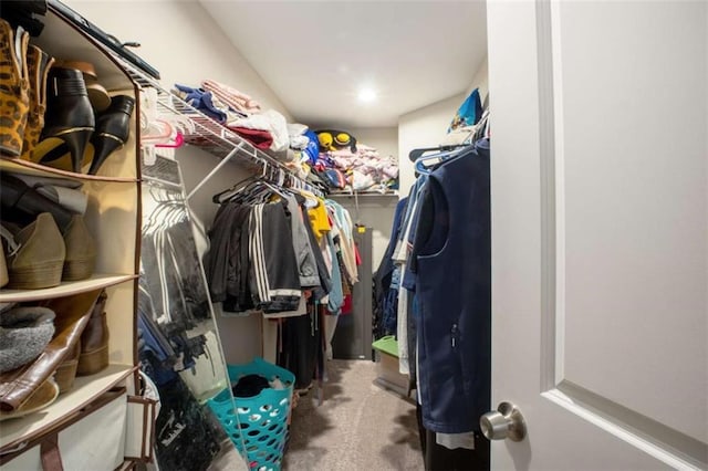 spacious closet with carpet