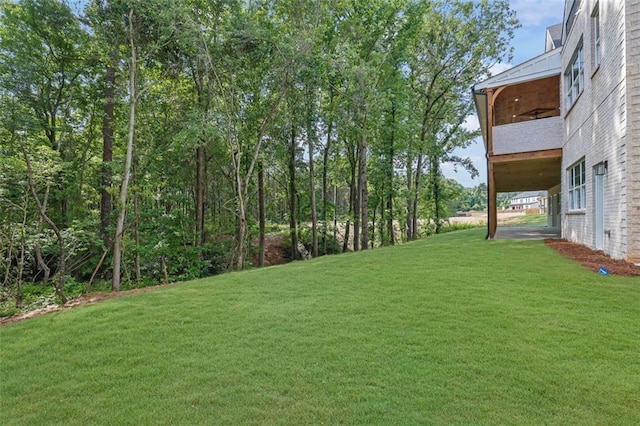 3903 Indian Shoals Rd SE, Bethlehem, GA 30620 - view of grassy yard