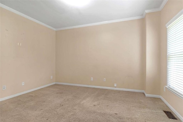 carpeted empty room featuring crown molding