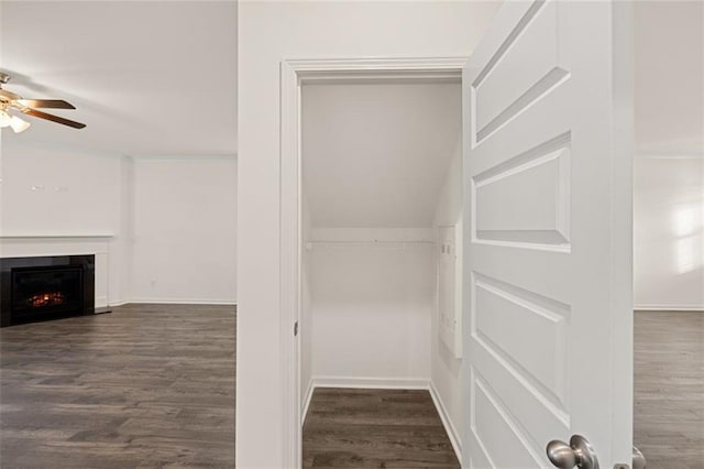 1159 Blue Juniper Cir, Loganville, GA 30052 - view of closet